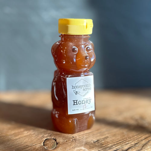 NEW - Gingerbread Honey Bear